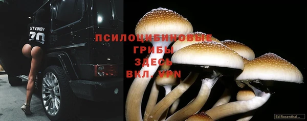 метадон Белокуриха